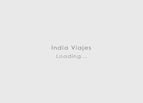 Tour de Tigres de la India 